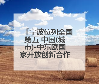 宁波位列全国第五 中国(城市)-中东欧国家开放创新合作指数发布