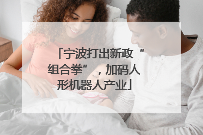 宁波打出新政“组合拳”，加码人形机器人产业
