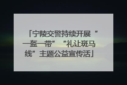 宁陵交警持续开展“一盔一带”“礼让斑马线”主题公益宣传活