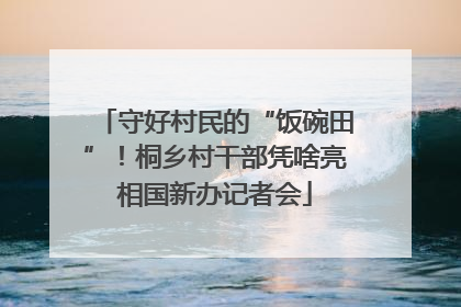 守好村民的“饭碗田”！桐乡村干部凭啥亮相国新办记者会