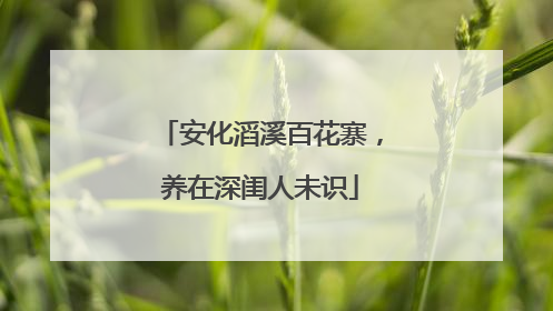 安化滔溪百花寨，养在深闺人未识