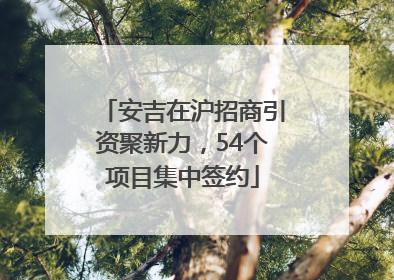 安吉在沪招商引资聚新力，54个项目集中签约