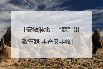 安徽淮北：“蒜”出致富路 丰产又丰收