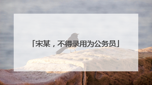 宋某，不得录用为公务员
