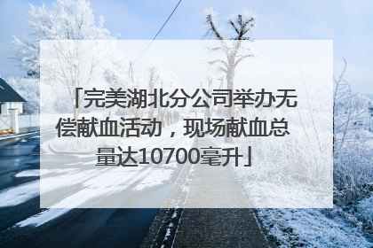 完美湖北分公司举办无偿献血活动，现场献血总量达10700毫升