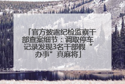 官方披露纪检监察干部查案细节：调取停车记录发现3名干部假“办事”真麻将