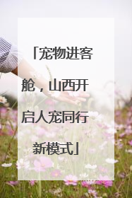 宠物进客舱，山西开启人宠同行新模式