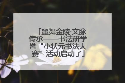 墨舞金陵·文脉传承——书法研学暨“小状元书法大赛”活动启动了