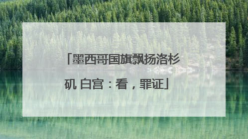 墨西哥国旗飘扬洛杉矶 白宫：看，罪证