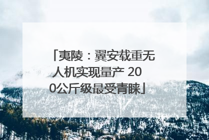夷陵：翼安载重无人机实现量产 200公斤级最受青睐
