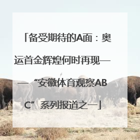 备受期待的A面：奥运首金辉煌何时再现——“安徽体育观察ABC”系列报道之一
