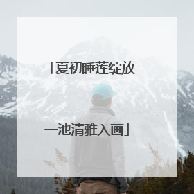 夏初睡莲绽放 一池清雅入画