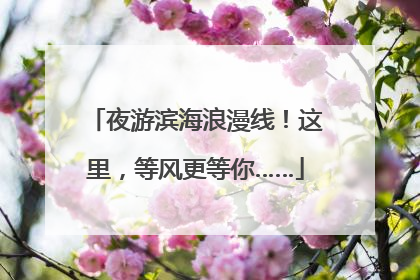 夜游滨海浪漫线！这里，等风更等你……