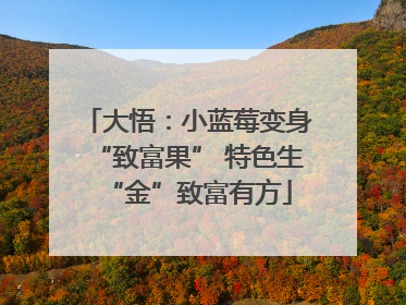 大悟：小蓝莓变身“致富果” 特色生“金”致富有方