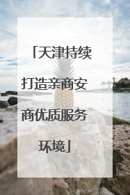 天津持续打造亲商安商优质服务环境