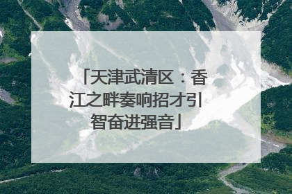 天津武清区：香江之畔奏响招才引智奋进强音