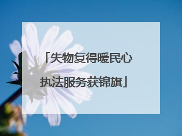 失物复得暖民心 执法服务获锦旗