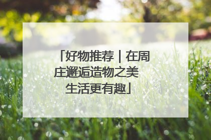 好物推荐｜在周庄邂逅造物之美 生活更有趣