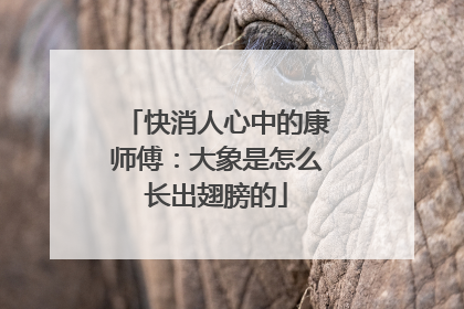 快消人心中的康师傅：大象是怎么长出翅膀的