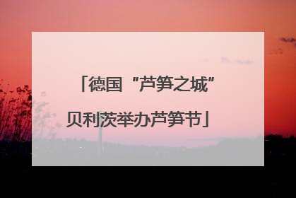 德国“芦笋之城”贝利茨举办芦笋节