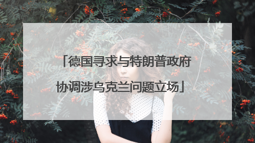 德国寻求与特朗普政府协调涉乌克兰问题立场