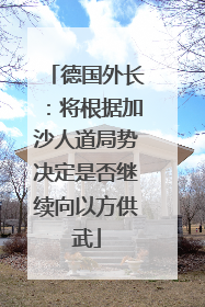 德国外长：将根据加沙人道局势决定是否继续向以方供武