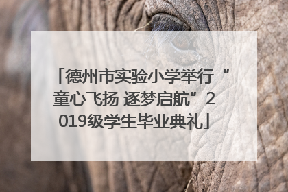 德州市实验小学举行“童心飞扬 逐梦启航”2019级学生毕业典礼