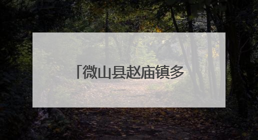 微山县赵庙镇多措并举为绿化苗木“补水解渴”