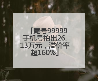 尾号99999手机号拍出26.13万元，溢价率超160%