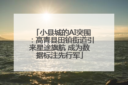小县城的AI突围：高青县田镇街道引来星途旗航 成为数据标注先行军