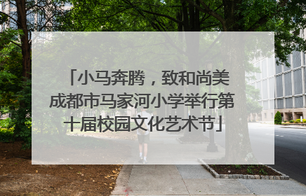 小马奔腾，致和尚美 成都市马家河小学举行第十届校园文化艺术节