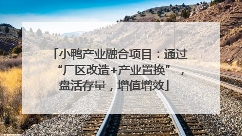 小鸭产业融合项目：通过“厂区改造+产业置换”，盘活存量，增值增效