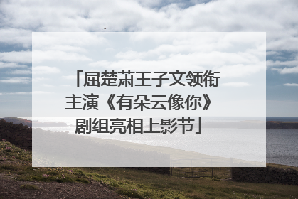 屈楚萧王子文领衔主演《有朵云像你》剧组亮相上影节