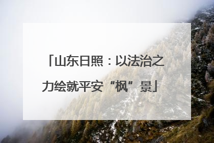 山东日照：以法治之力绘就平安“枫”景