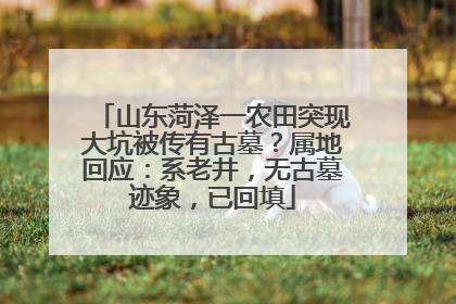 山东菏泽一农田突现大坑被传有古墓？属地回应：系老井，无古墓迹象，已回填
