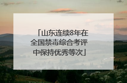 山东连续8年在全国禁毒综合考评中保持优秀等次