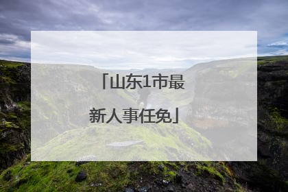 山东1市最新人事任免