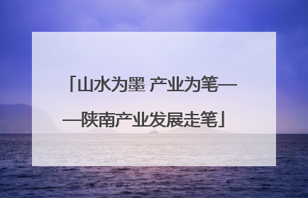 山水为墨 产业为笔——陕南产业发展走笔