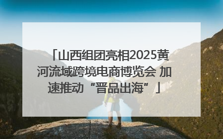 山西组团亮相2025黄河流域跨境电商博览会 加速推动“晋品出海”