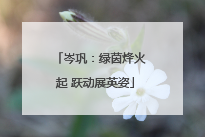 岑巩：绿茵烽火起 跃动展英姿