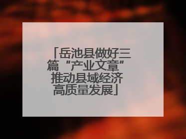 岳池县做好三篇“产业文章” 推动县域经济高质量发展