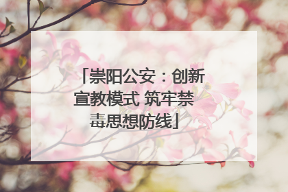崇阳公安：创新宣教模式 筑牢禁毒思想防线