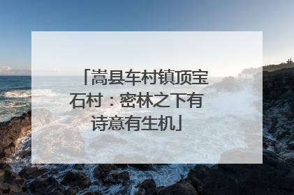 嵩县车村镇顶宝石村：密林之下有诗意有生机