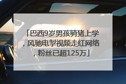 巴西9岁男孩骑猪上学，风驰电掣视频走红网络，粉丝已超125万