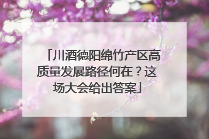 川酒德阳绵竹产区高质量发展路径何在？这场大会给出答案