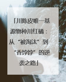 川陈皮唯一基源物种川红橘：从“被淘汰”到“香饽饽”的逆袭之路