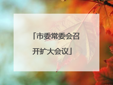 市委常委会召开扩大会议