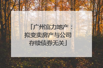 广州富力地产：拟变卖房产与公司存续债券无关