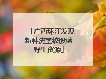 广西环江发现新种疣茎绞股蓝野生资源