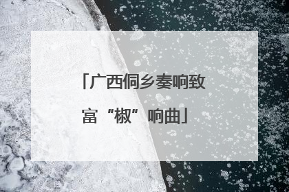 广西侗乡奏响致富“椒”响曲